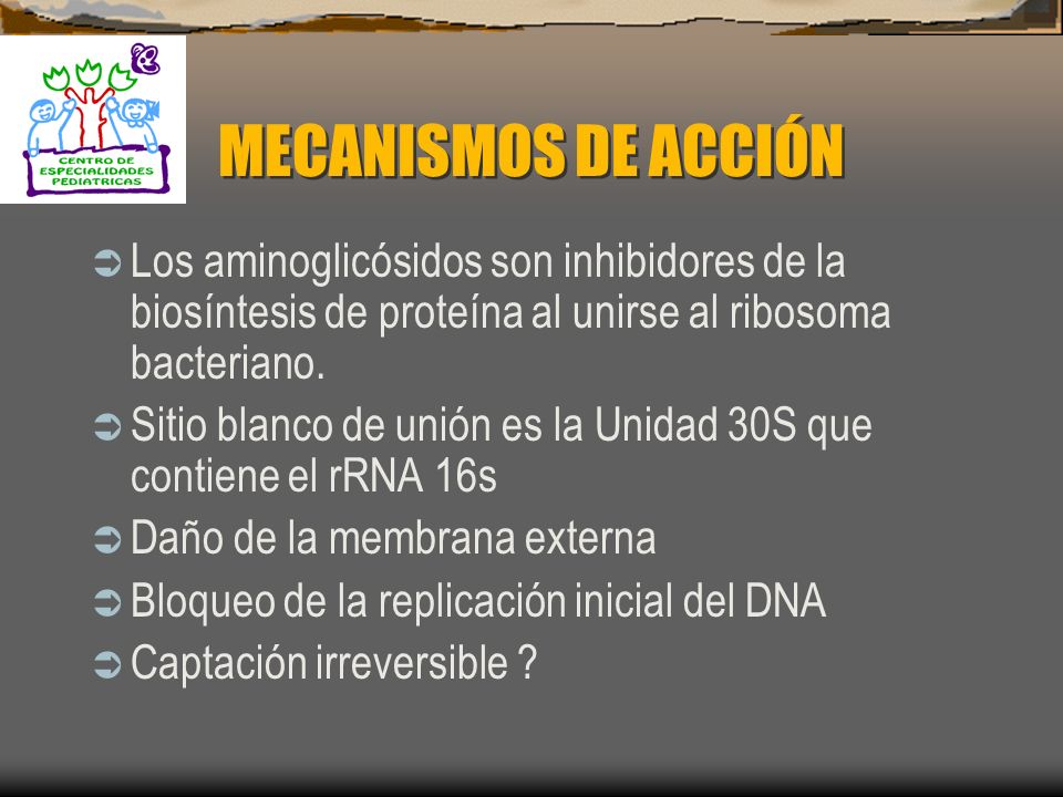 MECANISMOS DE ACCIÓN Los aminoglicósidos son inhibidores de la biosíntesis de proteína al unirse al ribosoma bacteriano.