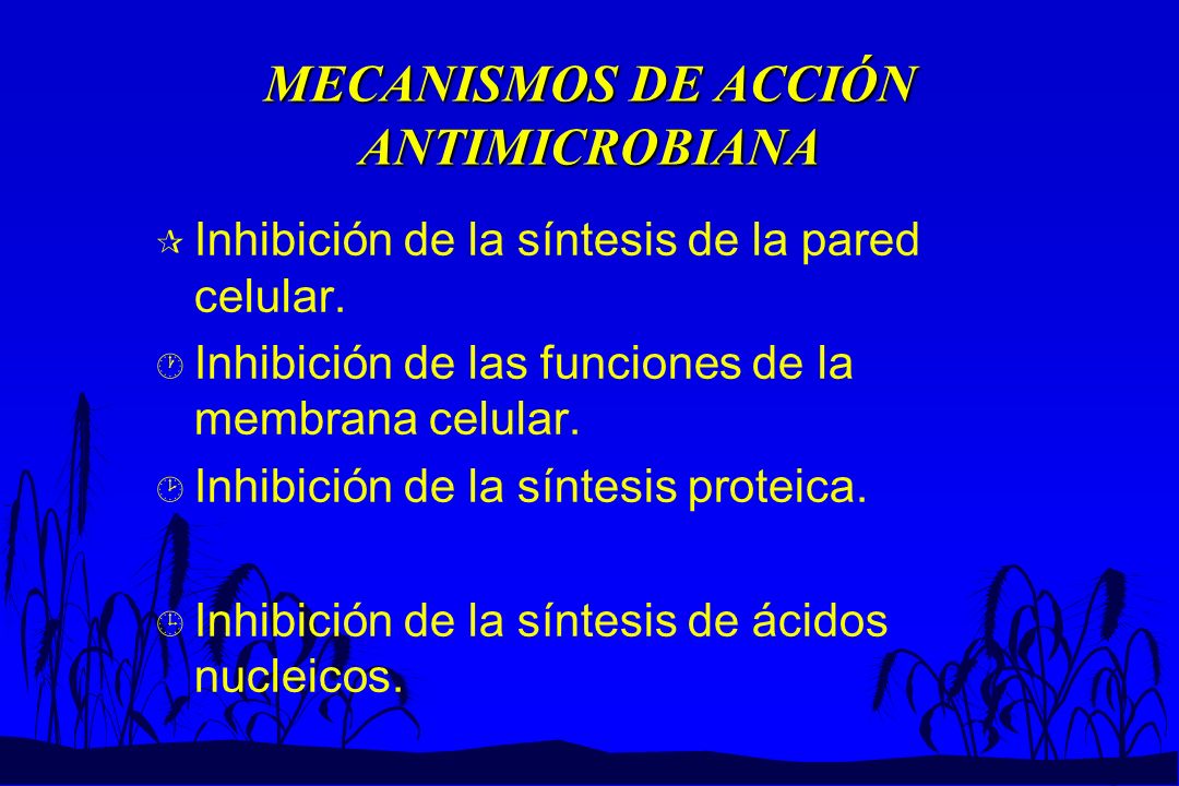MECANISMOS DE ACCIÓN ANTIMICROBIANA