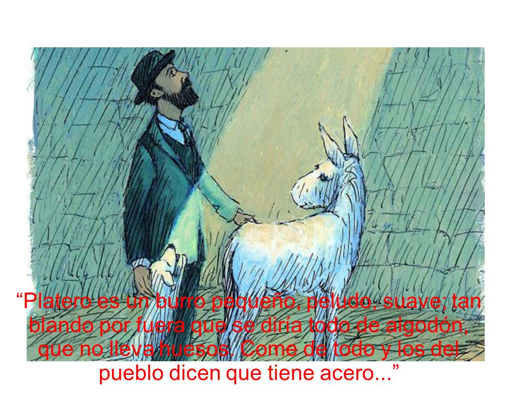 Platero es un burro pequeño, peludo, suave; tan blando por fuera que se diría todo de algodón, que no lleva huesos.