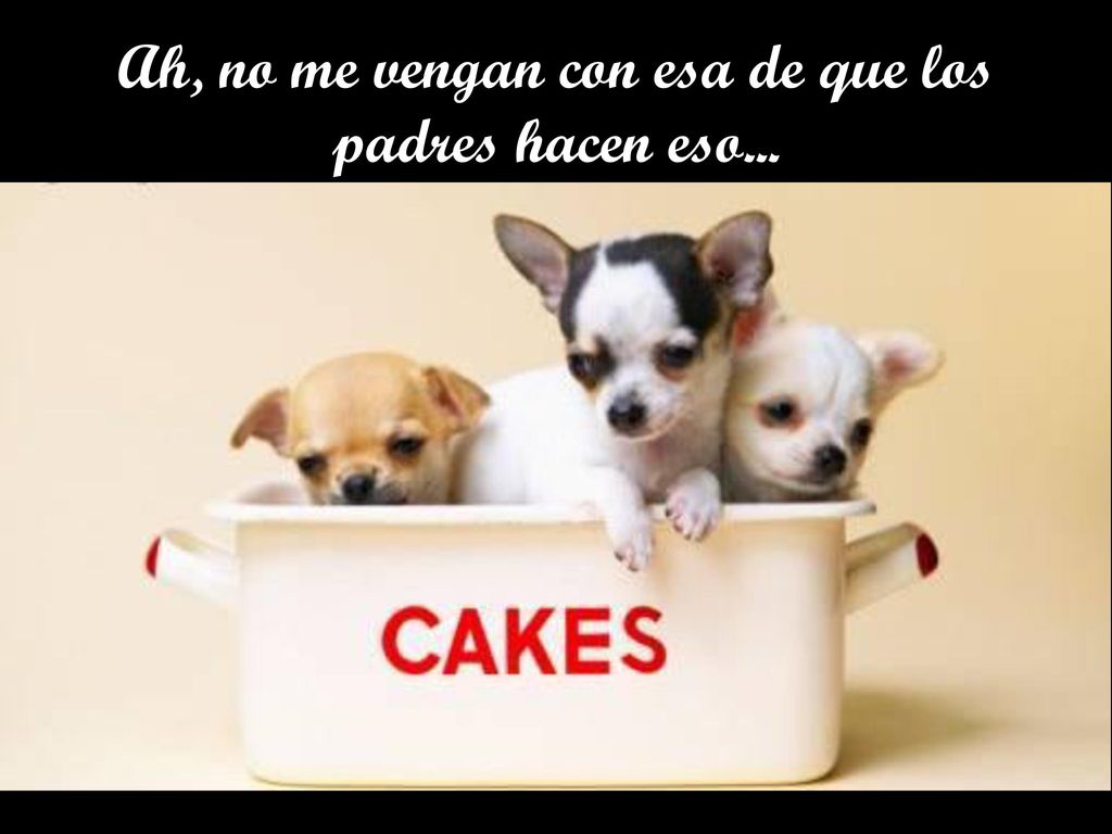 Ah, no me vengan con esa de que los padres hacen eso...