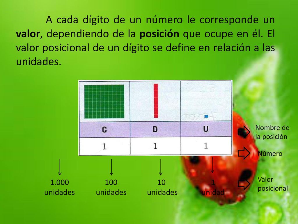 A cada dígito de un número le corresponde un valor, dependiendo de la posición que ocupe en él. El valor posicional de un dígito se define en relación a las unidades.