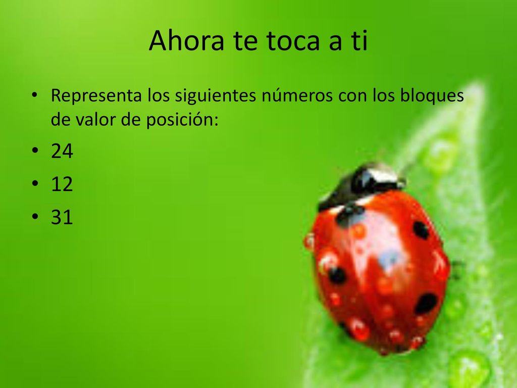 Ahora te toca a ti Representa los siguientes números con los bloques de valor de posición: