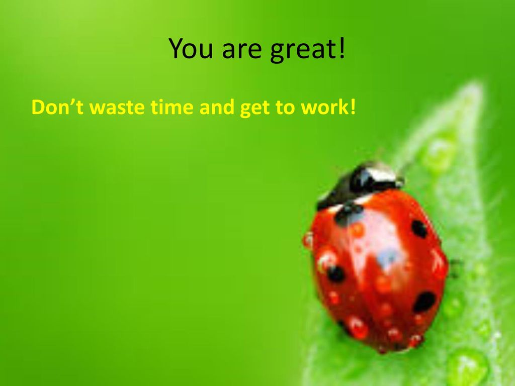 You are great! Don’t waste time and get to work!