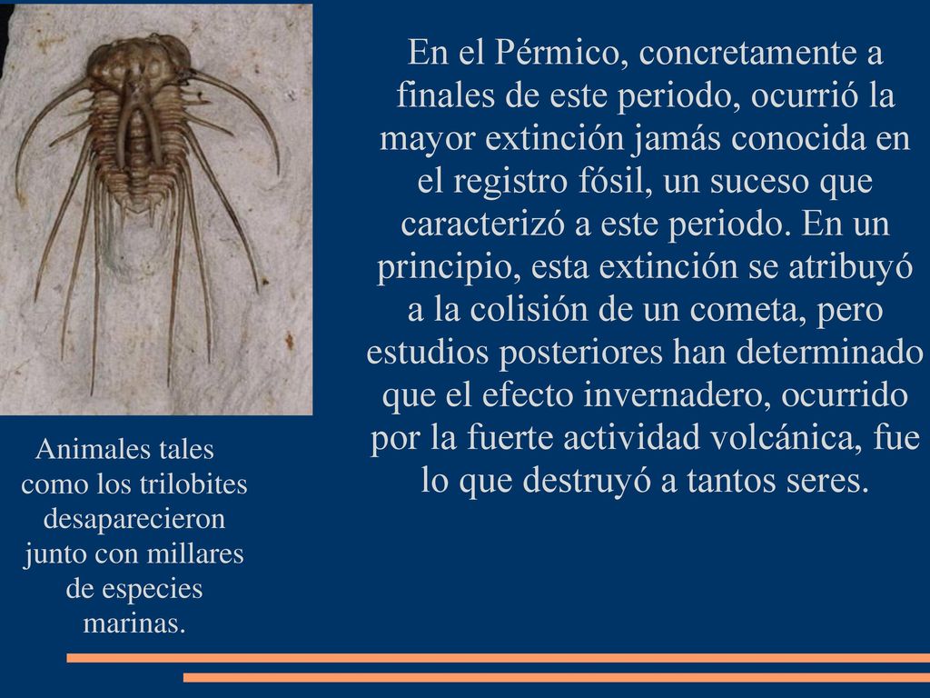 En el Pérmico, concretamente a finales de este periodo, ocurrió la mayor extinción jamás conocida en el registro fósil, un suceso que caracterizó a este periodo. En un principio, esta extinción se atribuyó a la colisión de un cometa, pero estudios posteriores han determinado que el efecto invernadero, ocurrido por la fuerte actividad volcánica, fue lo que destruyó a tantos seres.