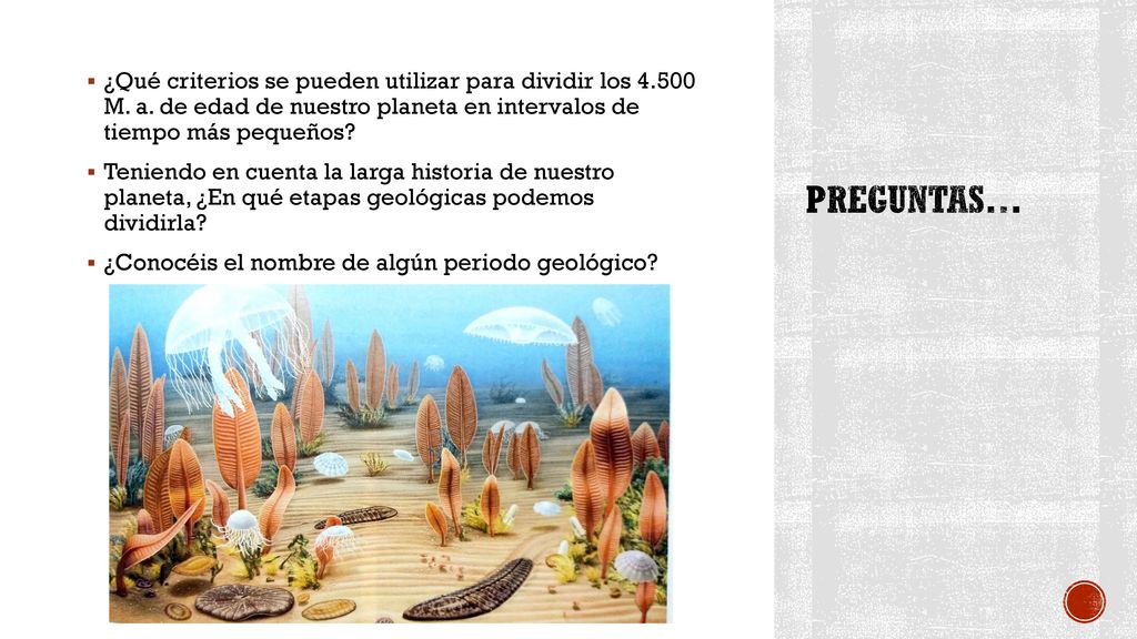 ¿Qué criterios se pueden utilizar para dividir los M. a