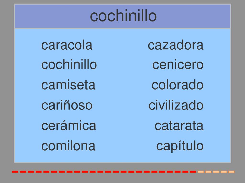 cochinillo caracola cazadora cochinillo cenicero camiseta colorado