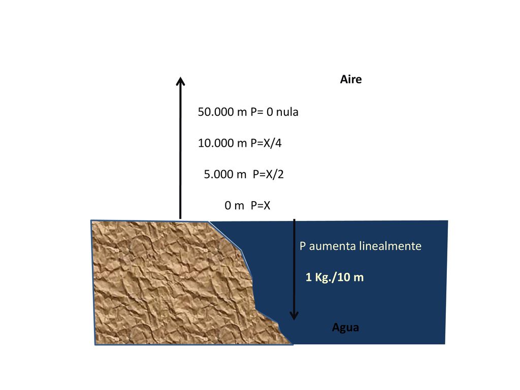 P aumenta linealmente 1 Kg./10 m m P= 0 nula m P=X/ m P=X/2. 0 m P=X.