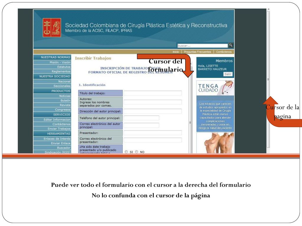 Cursor del formulario Cursor de la pagina