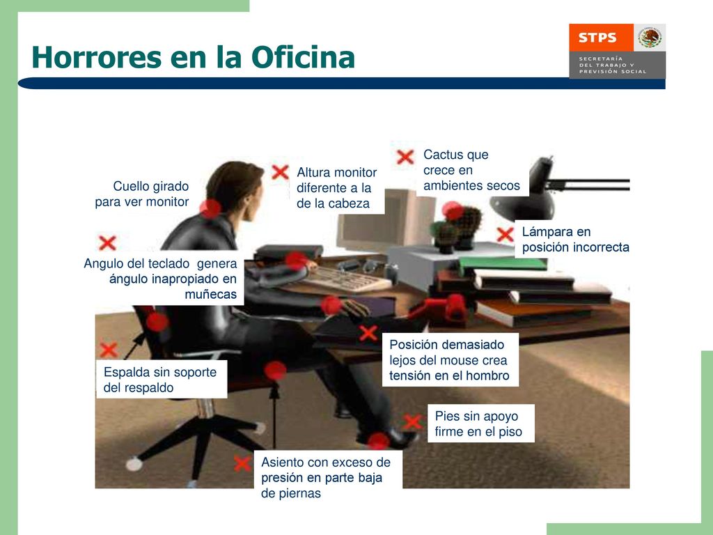 Horrores en la Oficina Cactus que crece en ambientes secos