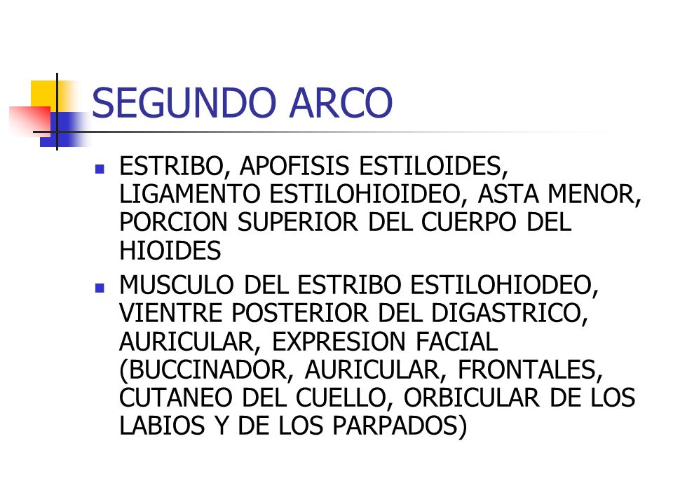 SEGUNDO ARCO ESTRIBO, APOFISIS ESTILOIDES, LIGAMENTO ESTILOHIOIDEO, ASTA MENOR, PORCION SUPERIOR DEL CUERPO DEL HIOIDES.
