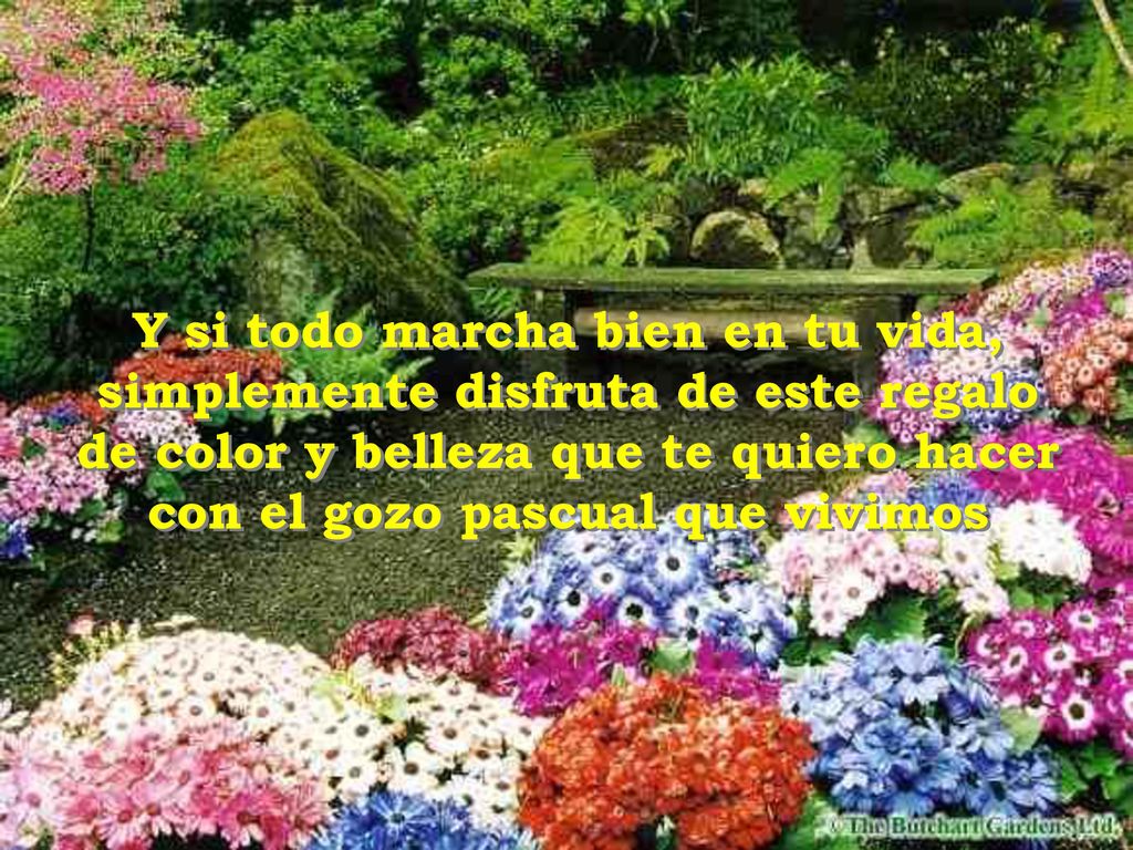 Y si todo marcha bien en tu vida, simplemente disfruta de este regalo de color y belleza que te quiero hacer con el gozo pascual que vivimos