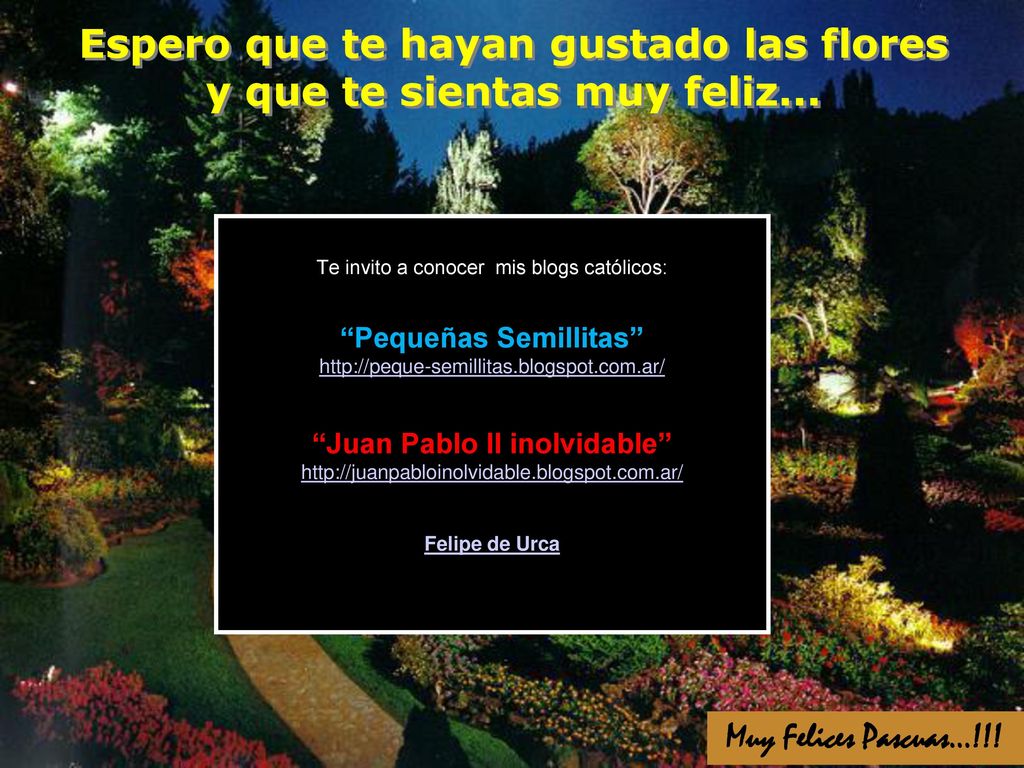 Espero que te hayan gustado las flores y que te sientas muy feliz...