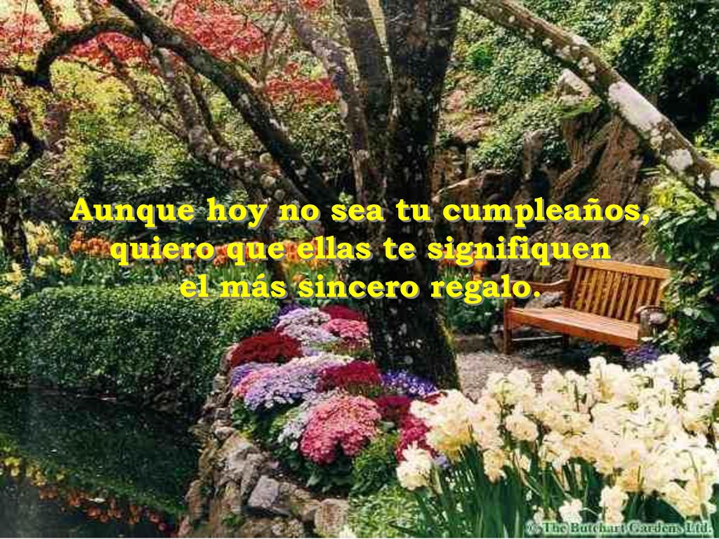Aunque hoy no sea tu cumpleaños, quiero que ellas te signifiquen