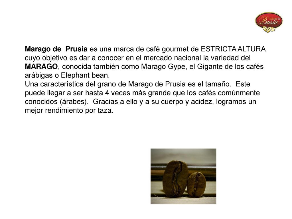 Marago de Prusia es una marca de café gourmet de ESTRICTA ALTURA
