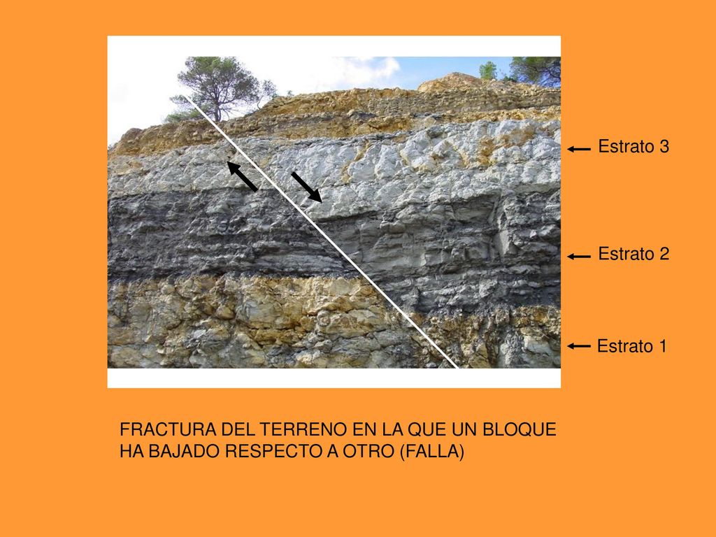 Estrato 3 Estrato 2. Estrato 1. FRACTURA DEL TERRENO EN LA QUE UN BLOQUE.