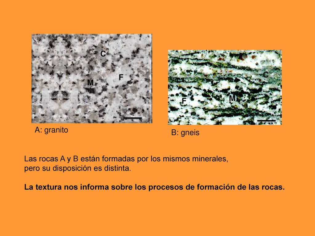 C C. F. M. M. F. A: granito. B: gneis. Las rocas A y B están formadas por los mismos minerales,