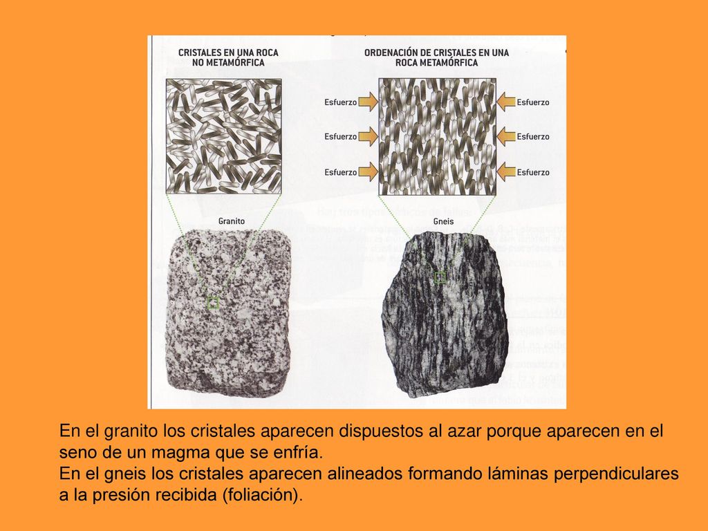 En el granito los cristales aparecen dispuestos al azar porque aparecen en el