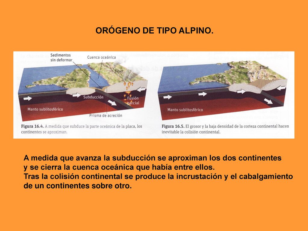 ORÓGENO DE TIPO ALPINO. A medida que avanza la subducción se aproximan los dos continentes. y se cierra la cuenca oceánica que había entre ellos.