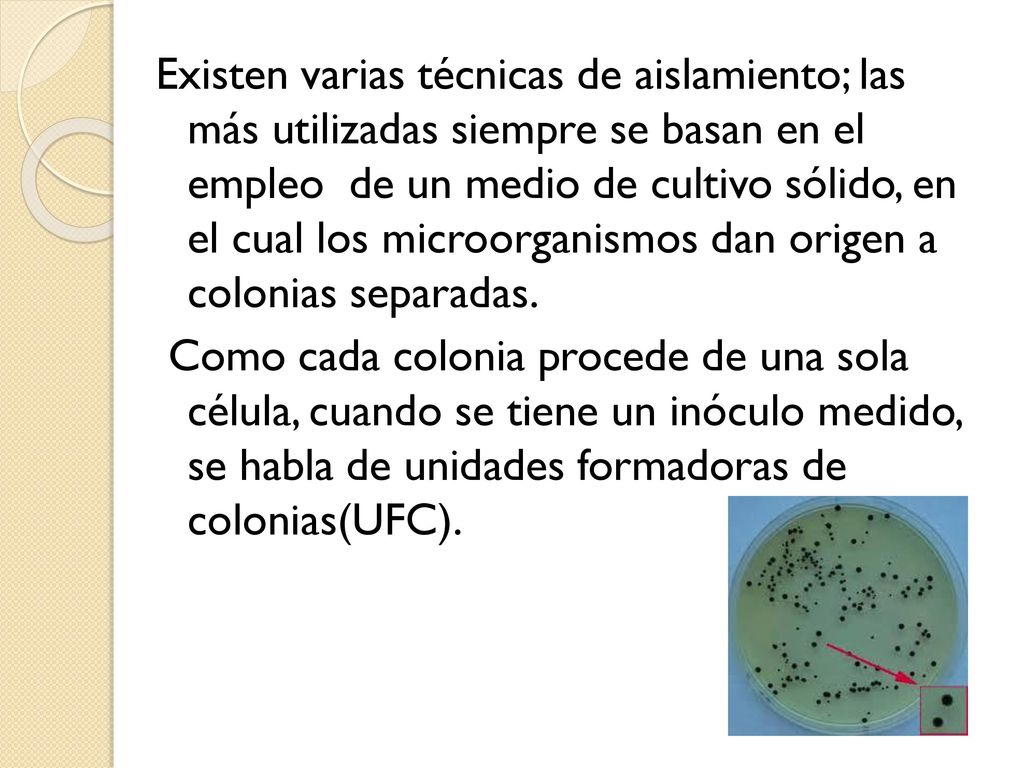 Existen varias técnicas de aislamiento; las más utilizadas siempre se basan en el empleo de un medio de cultivo sólido, en el cual los microorganismos dan origen a colonias separadas.