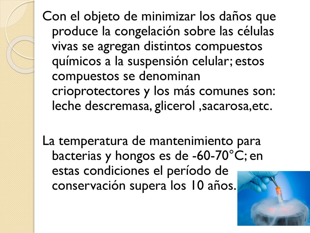 Con el objeto de minimizar los daños que produce la congelación sobre las células vivas se agregan distintos compuestos químicos a la suspensión celular; estos compuestos se denominan crioprotectores y los más comunes son: leche descremasa, glicerol ,sacarosa,etc.