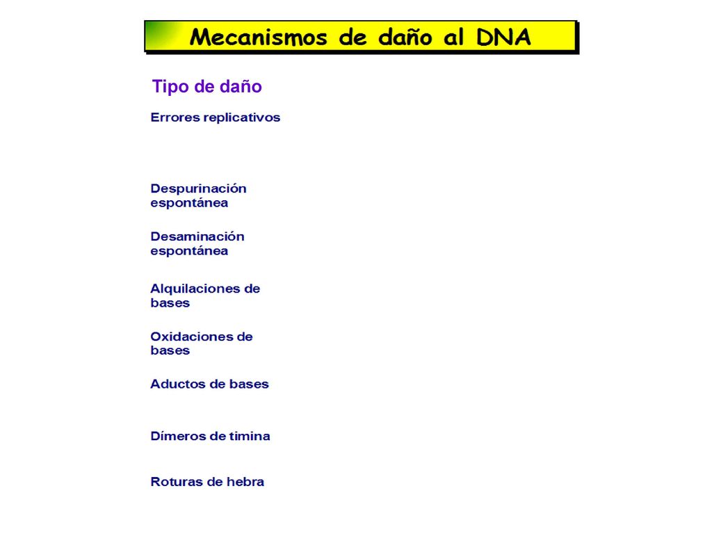 Tipo de daño Efectos Agentes causantes del daño