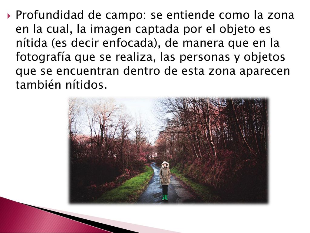 Profundidad de campo: se entiende como la zona en la cual, la imagen captada por el objeto es nítida (es decir enfocada), de manera que en la fotografía que se realiza, las personas y objetos que se encuentran dentro de esta zona aparecen también nítidos.