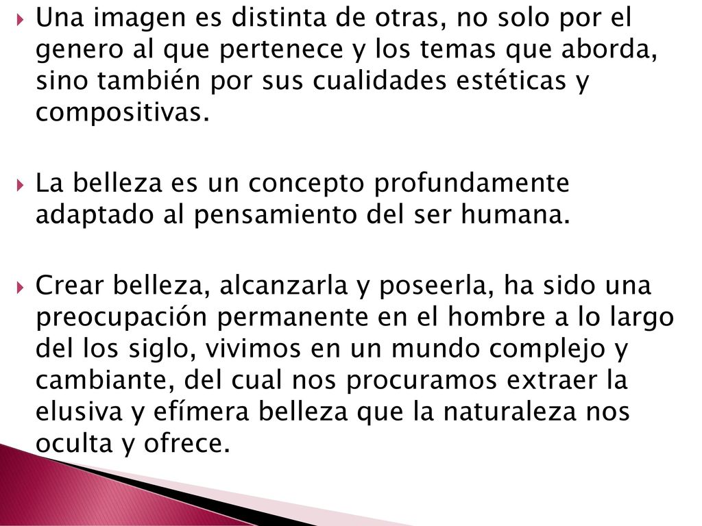 Una imagen es distinta de otras, no solo por el genero al que pertenece y los temas que aborda, sino también por sus cualidades estéticas y compositivas.