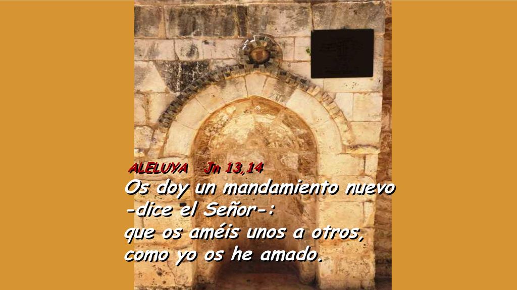 ALELUYA Jn 13,14 Os doy un mandamiento nuevo -dice el Señor-: que os améis unos a otros, como yo os he amado.
