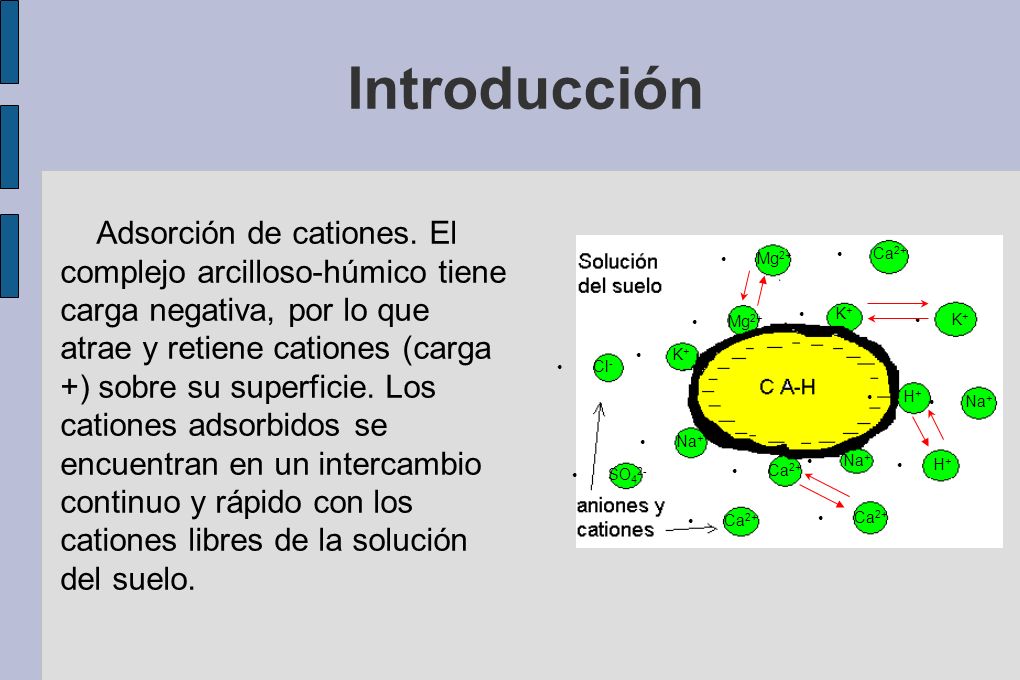 Introducción