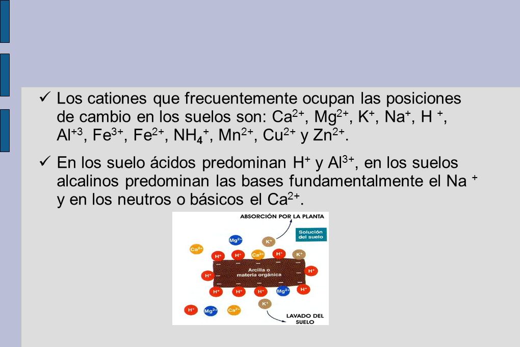 Los cationes que frecuentemente ocupan las posiciones de cambio en los suelos son: Ca2+, Mg2+, K+, Na+, H +, Al+3, Fe3+, Fe2+, NH4+, Mn2+, Cu2+ y Zn2+.