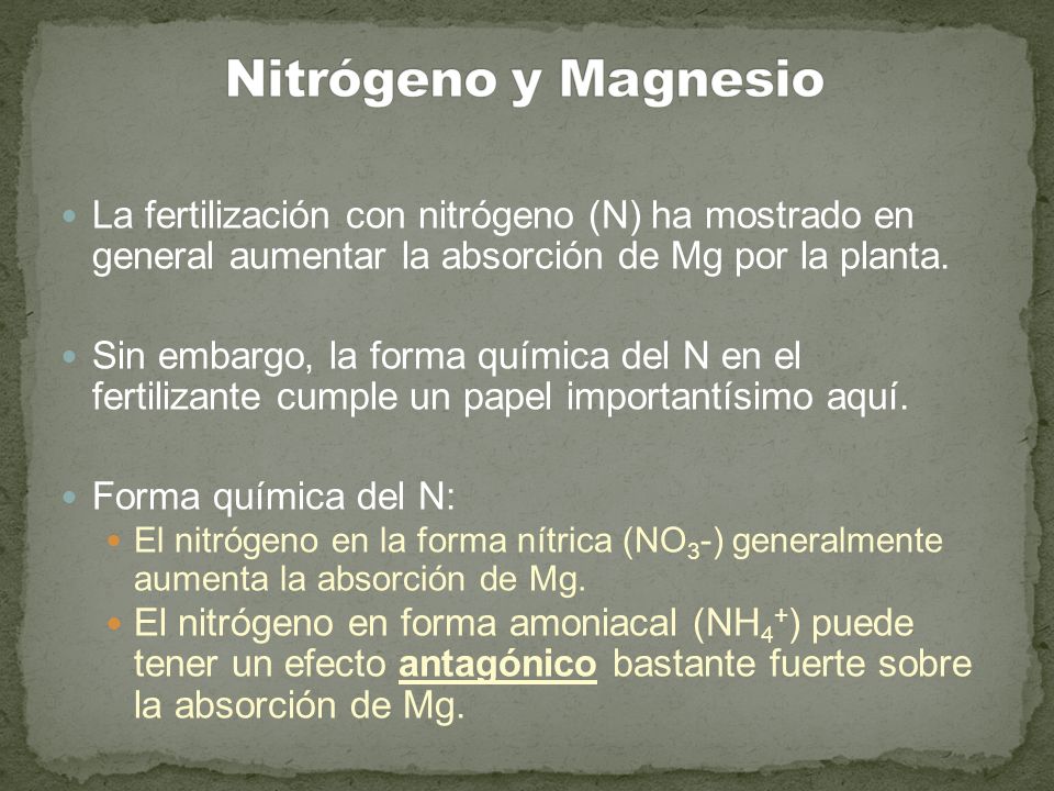 Nitrógeno y Magnesio La fertilización con nitrógeno (N) ha mostrado en general aumentar la absorción de Mg por la planta.