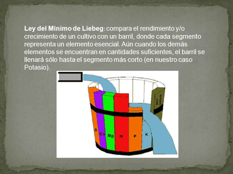 Ley del Mínimo de Liebeg: compara el rendimiento y/o crecimiento de un cultivo con un barril, donde cada segmento representa un elemento esencial.