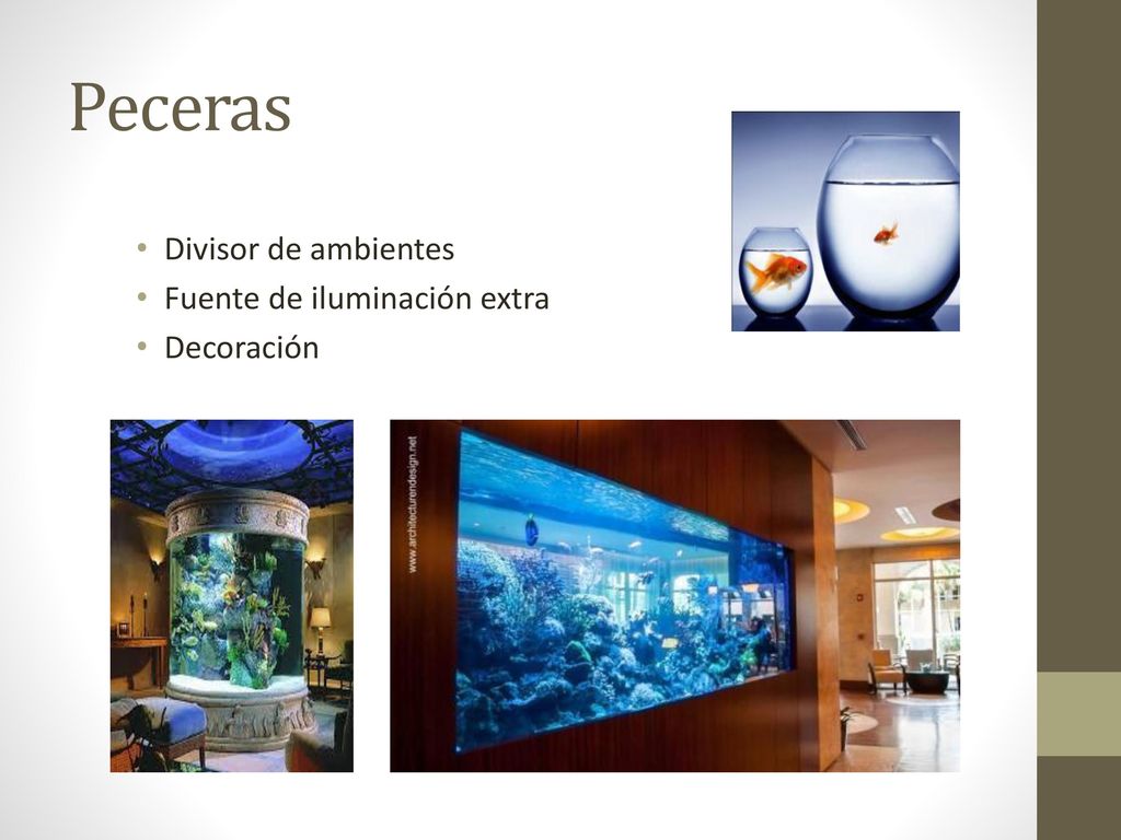 Peceras Divisor de ambientes Fuente de iluminación extra Decoración