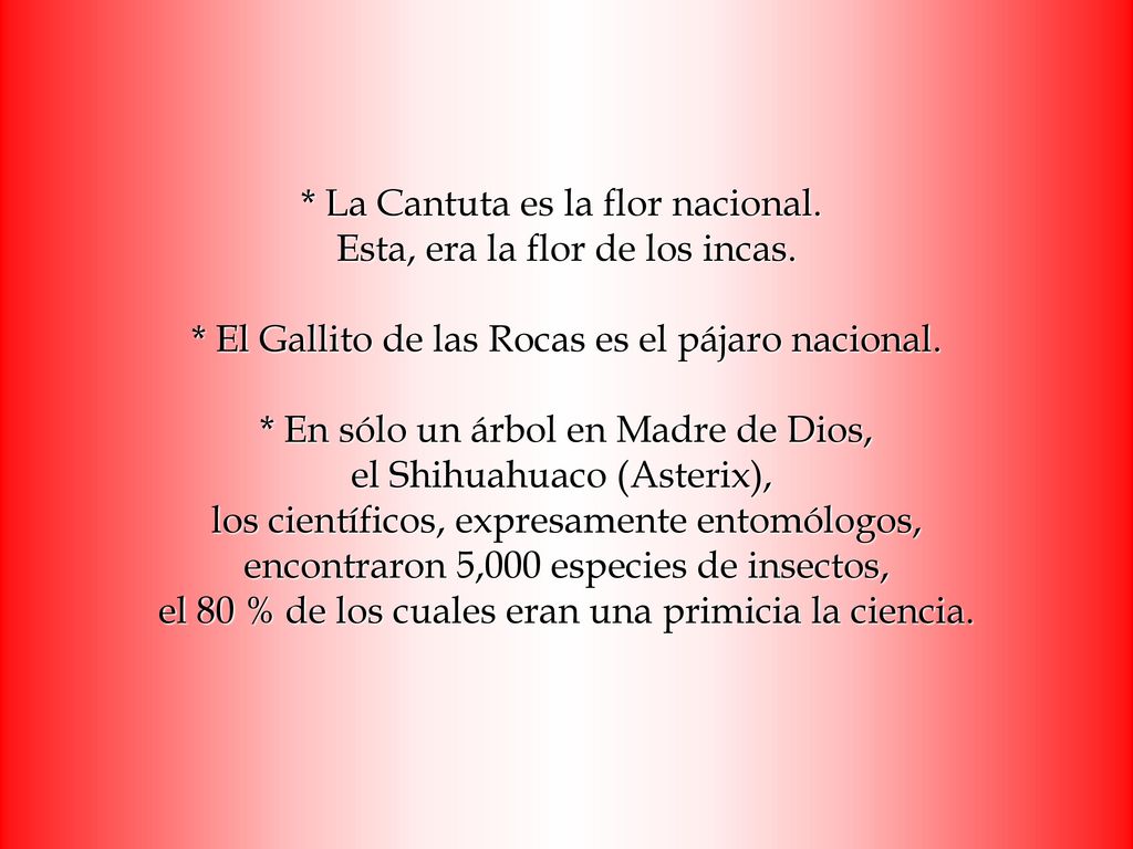 La Cantuta es la flor nacional. Esta, era la flor de los incas