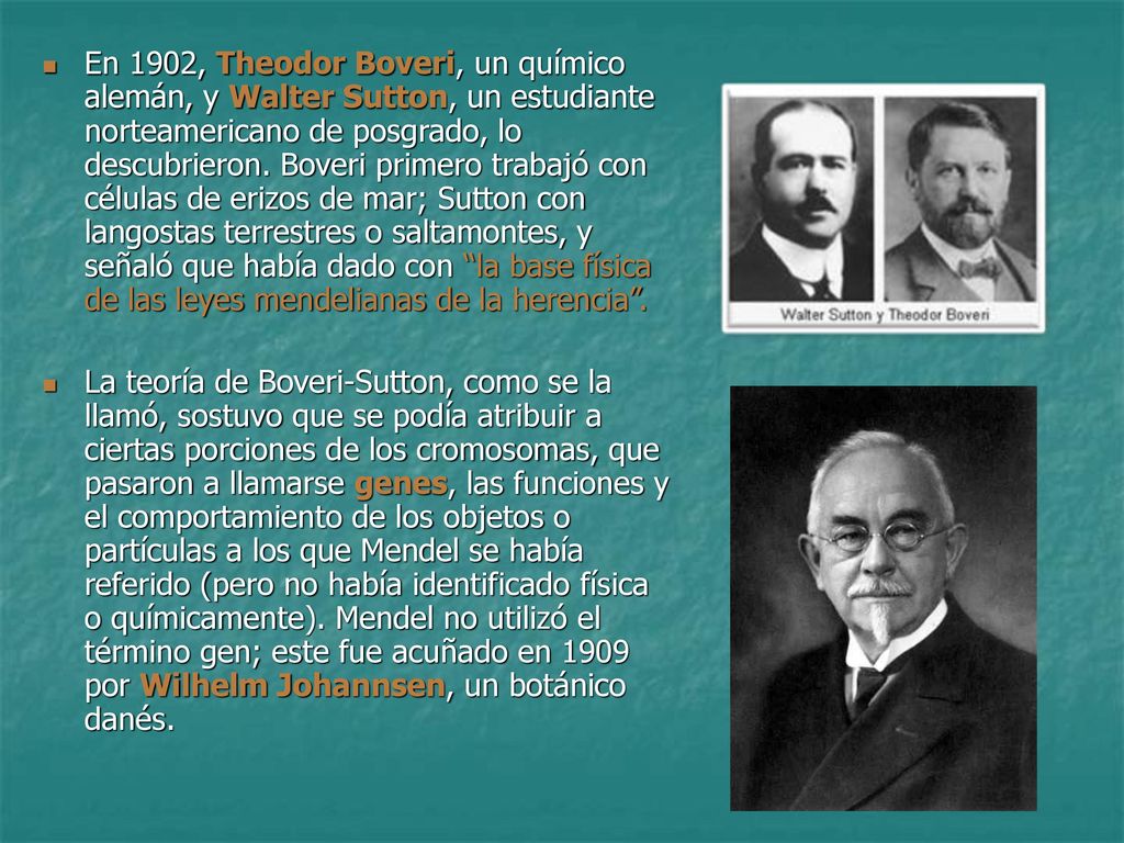 LA REVOLUCIÓN GENÉTICA - ppt descargar