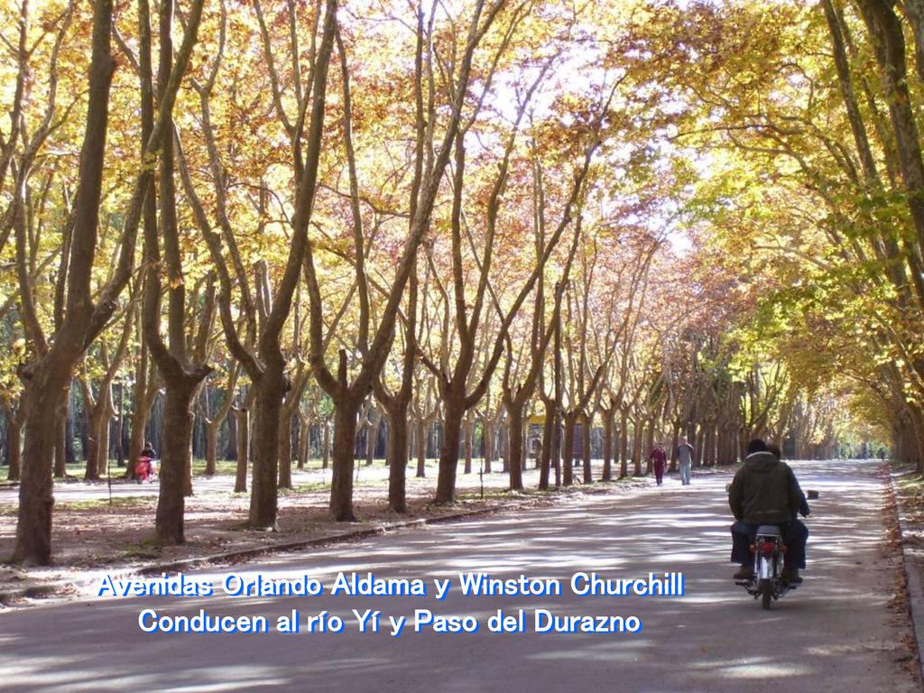 Avenidas Orlando Aldama y Winston Churchill Conducen al río Yí y Paso del Durazno
