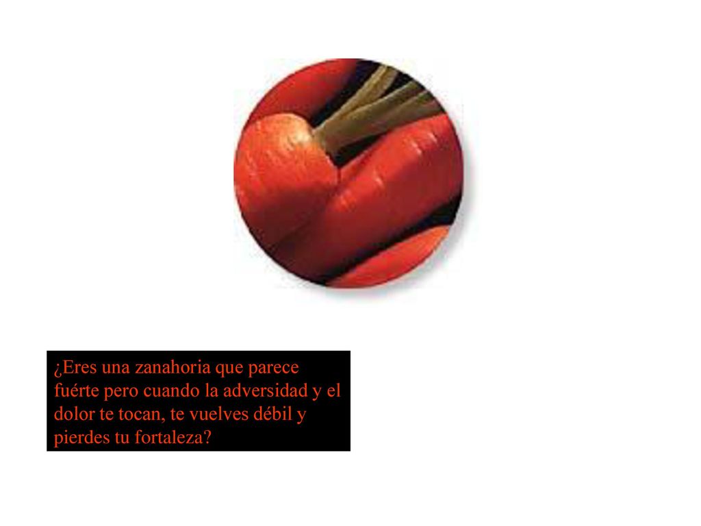 ¿Eres una zanahoria que parece fuérte pero cuando la adversidad y el dolor te tocan, te vuelves débil y pierdes tu fortaleza
