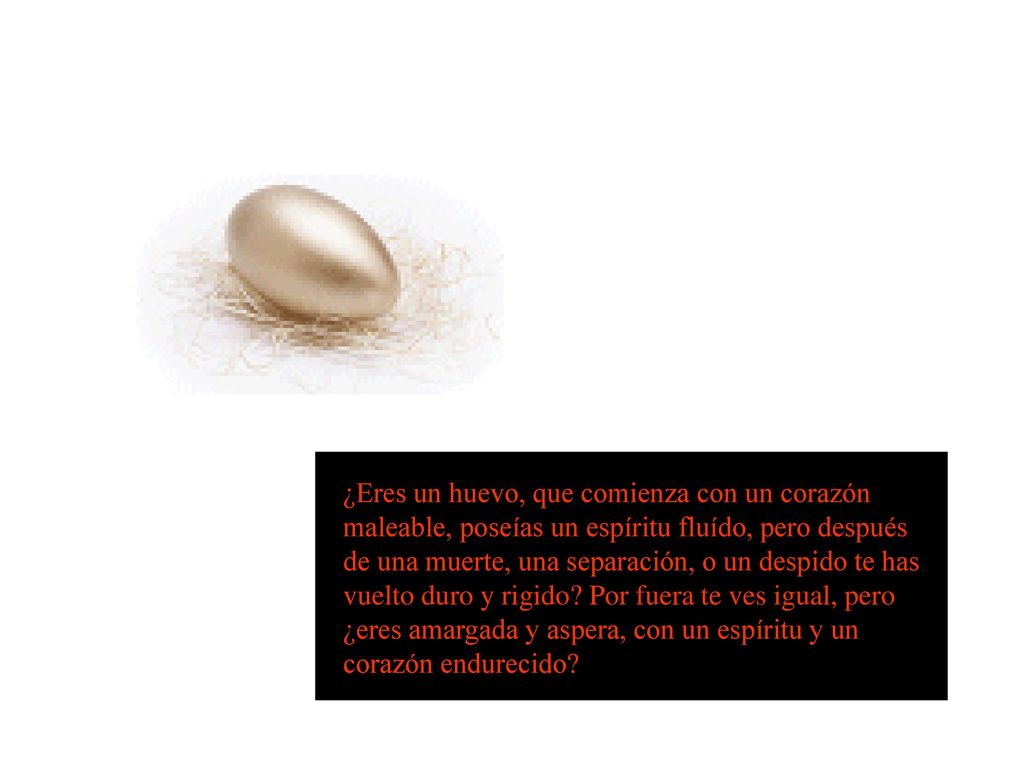 ¿Eres un huevo, que comienza con un corazón maleable, poseías un espíritu fluído, pero después de una muerte, una separación, o un despido te has vuelto duro y rigido.