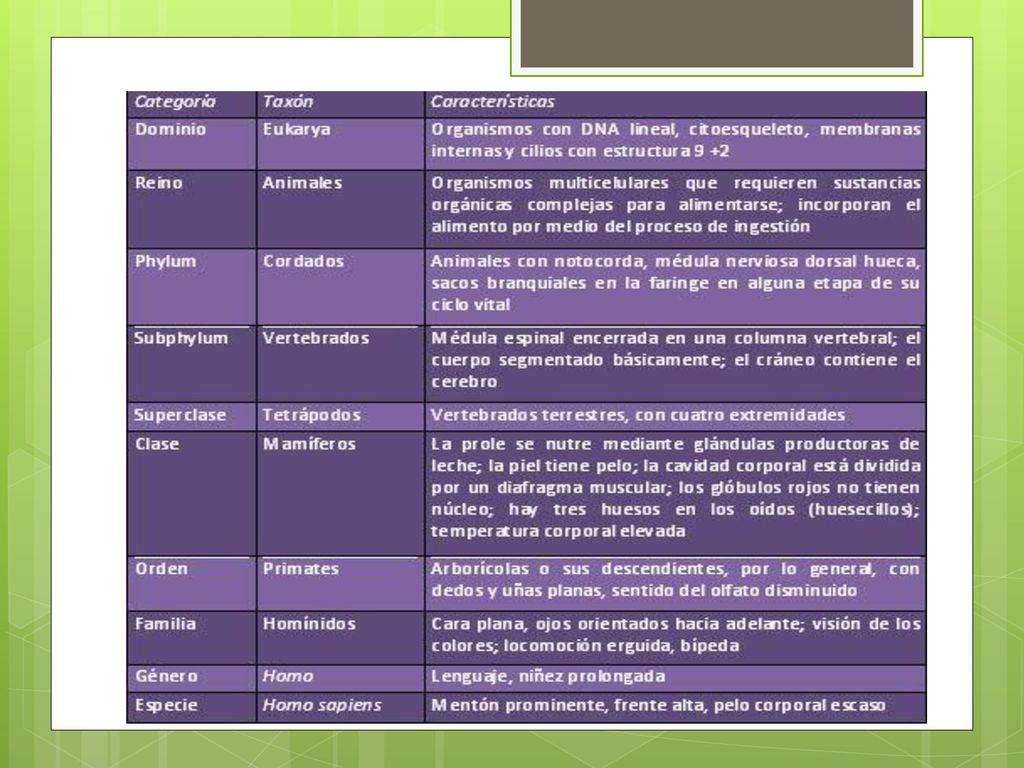 El sistema de clasificación dominante se llama taxonomía de Linneo, e incluye rangos y nomenclatura binomial.