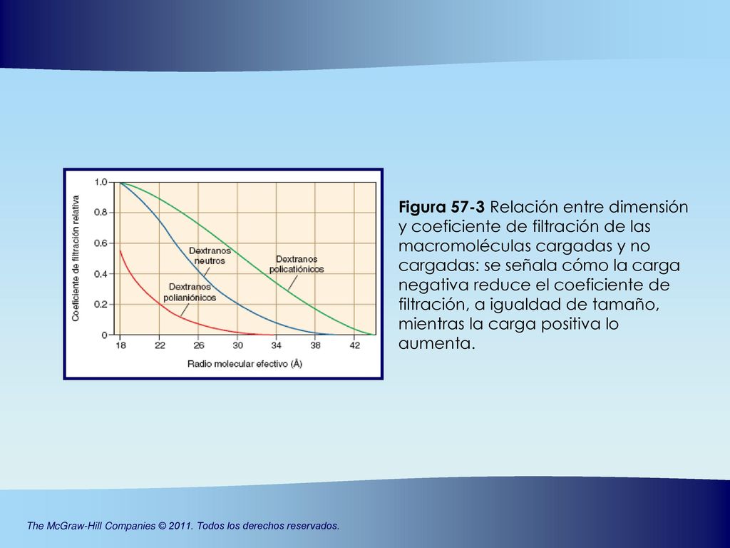 Figura 57-3 Relación entre dimensión y coeficiente de filtración de las
