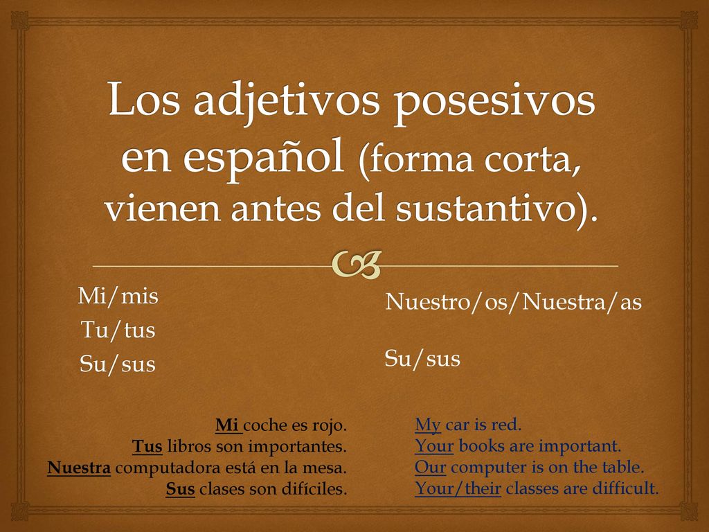 Los adjetivos posesivos en español (forma corta, vienen antes del sustantivo).