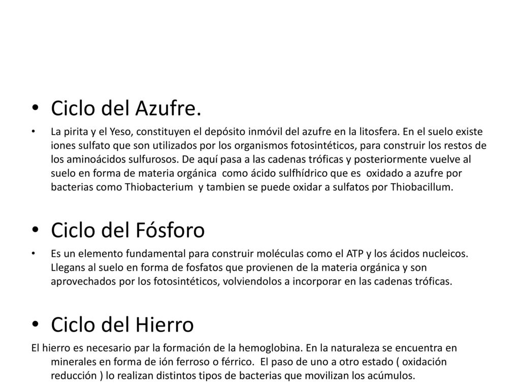 Ciclo del Azufre. Ciclo del Fósforo Ciclo del Hierro