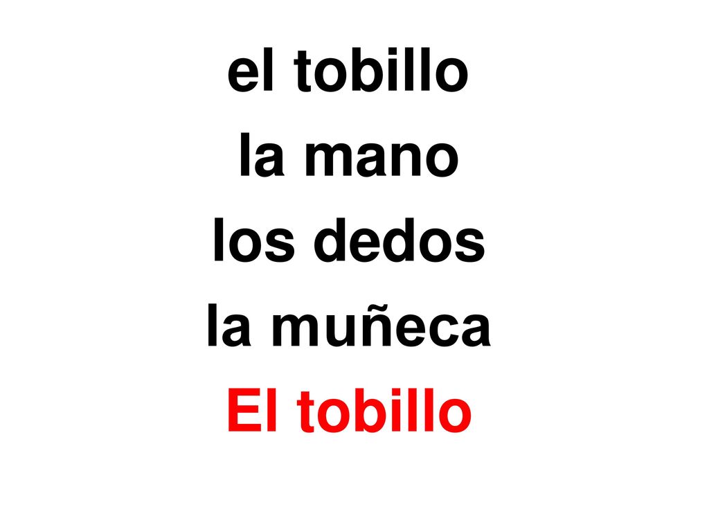 el tobillo la mano los dedos la muñeca El tobillo