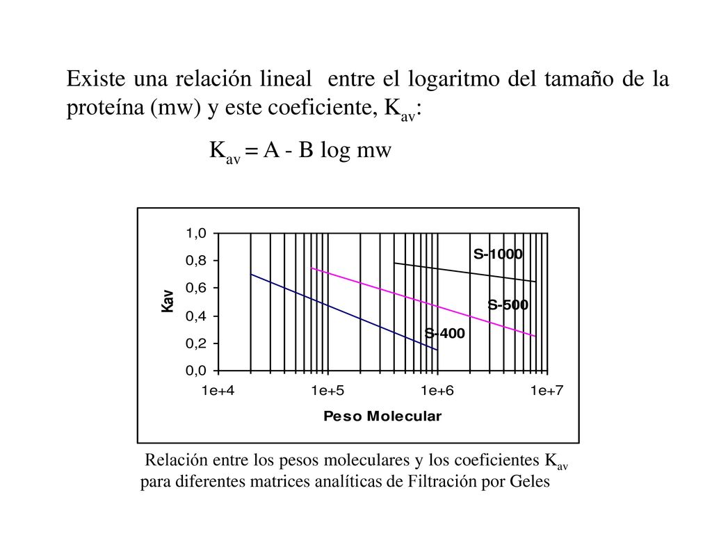 Existe una relación lineal entre el logaritmo del tamaño de la proteína (mw) y este coeficiente, Kav: