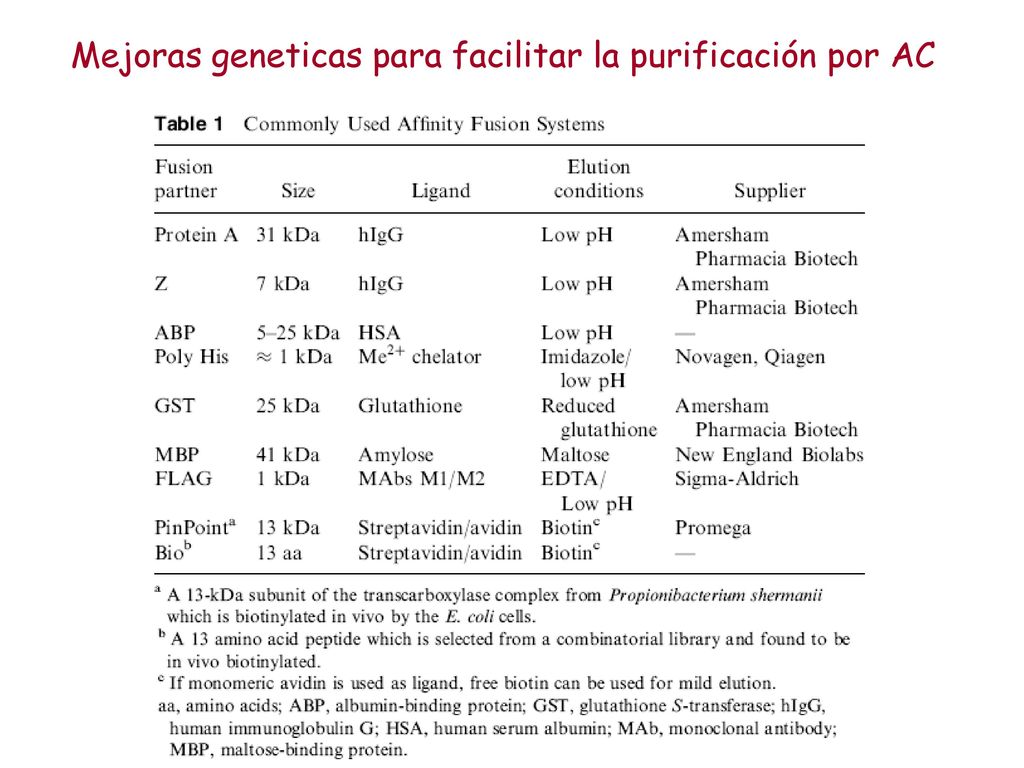 Mejoras geneticas para facilitar la purificación por AC