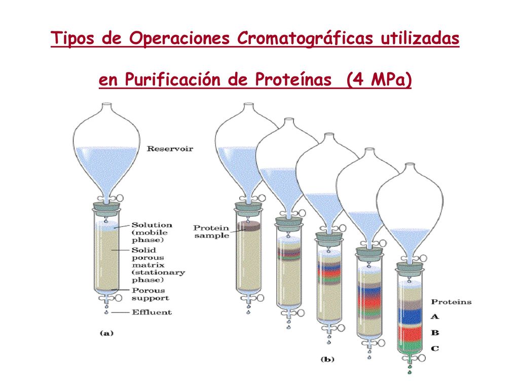 Tipos de Operaciones Cromatográficas utilizadas en Purificación de Proteínas (4 MPa)