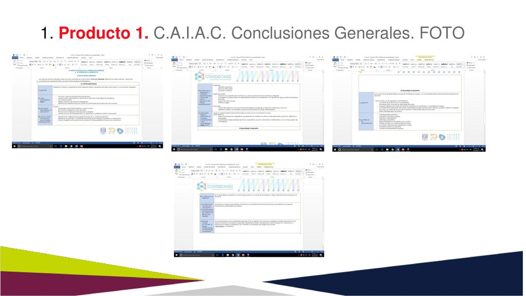 1. Producto 1. C.A.I.A.C. Conclusiones Generales. FOTO