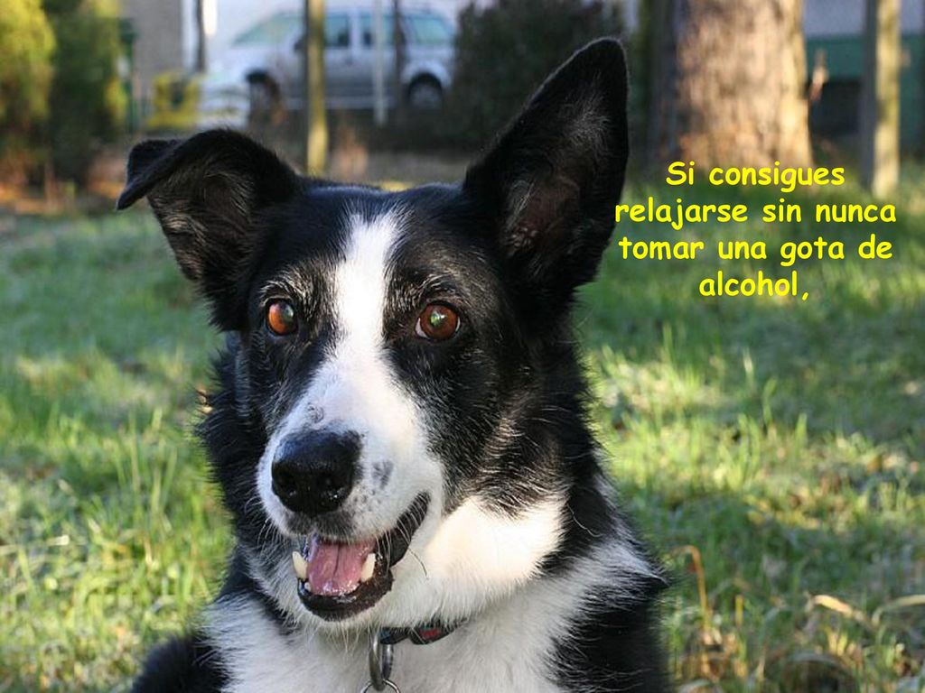Si consigues relajarse sin nunca tomar una gota de alcohol,