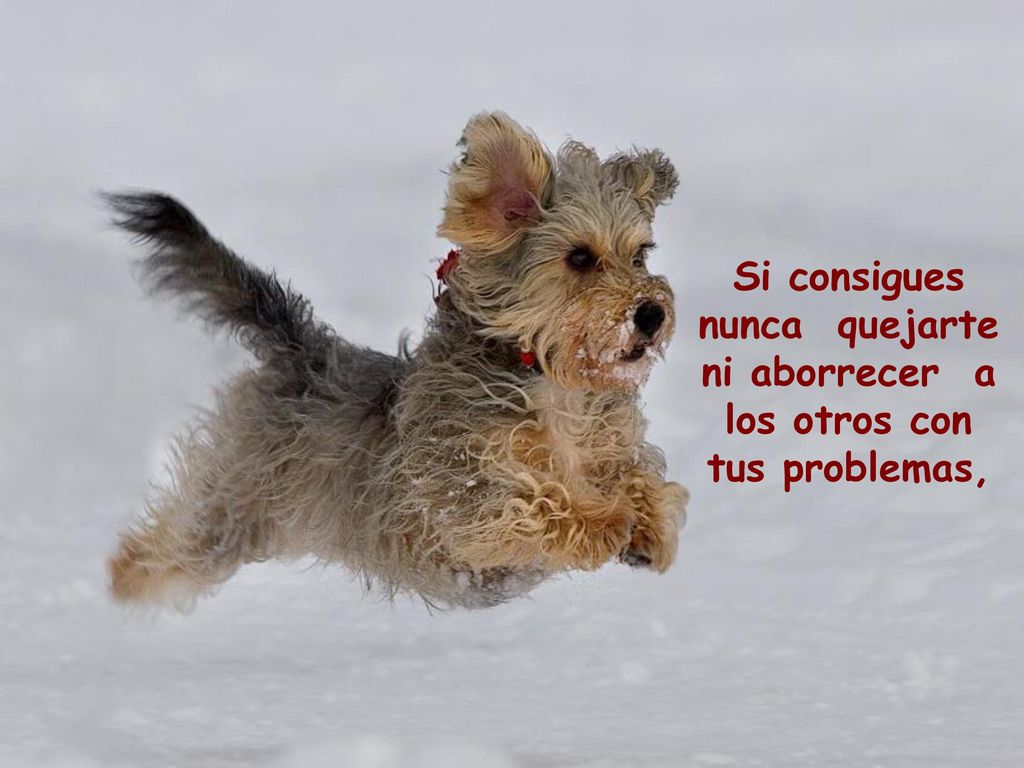 Si consigues nunca quejarte ni aborrecer a los otros con tus problemas,