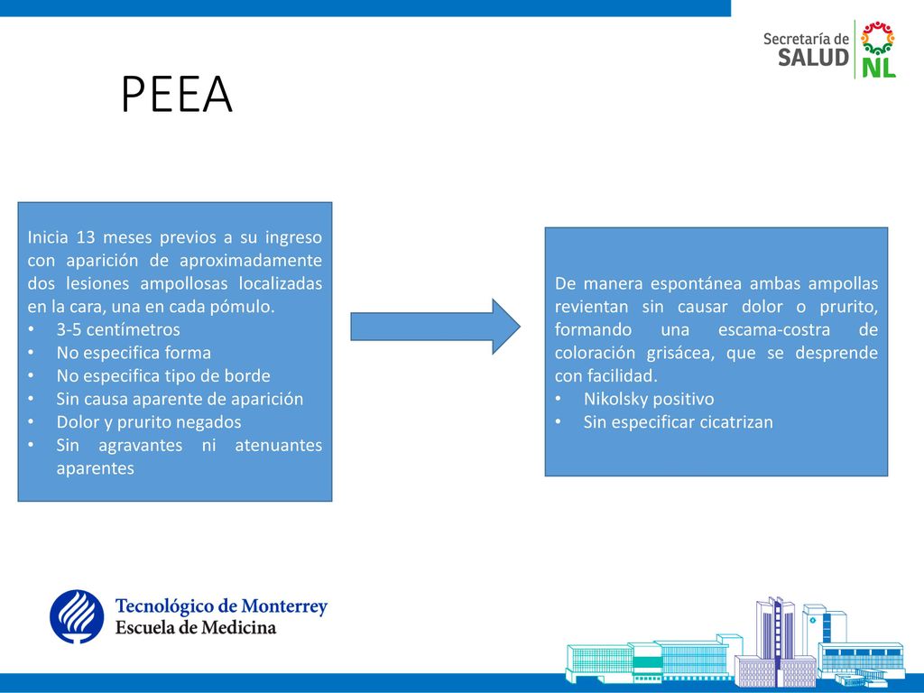 PEEA Inicia 13 meses previos a su ingreso con aparición de aproximadamente dos lesiones ampollosas localizadas en la cara, una en cada pómulo.